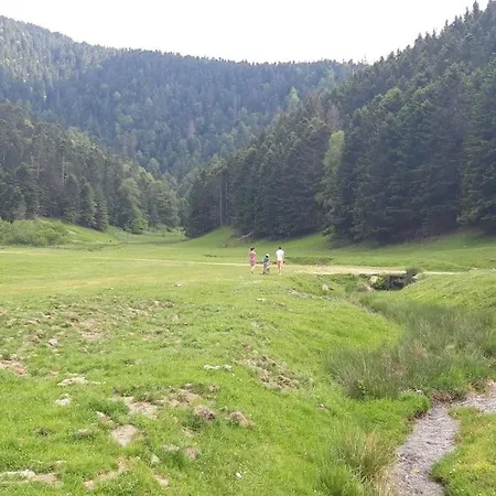 La Du Cerf A Payolle Апартаменты Кампан