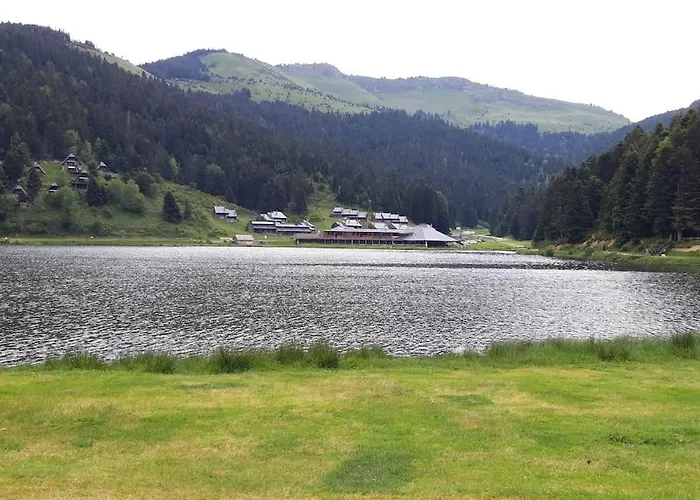 公寓 La Du Cerf A Payolle