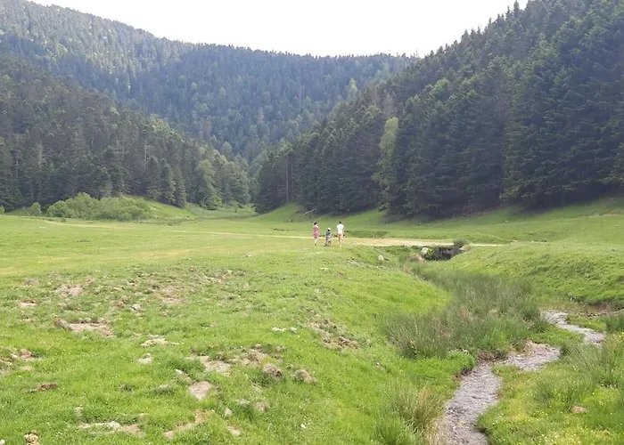 La Du Cerf A Payolle 公寓 康庞